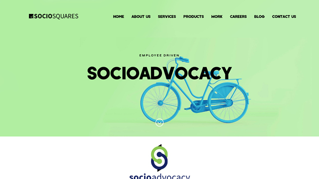 SocioAdvocacy API koppeling